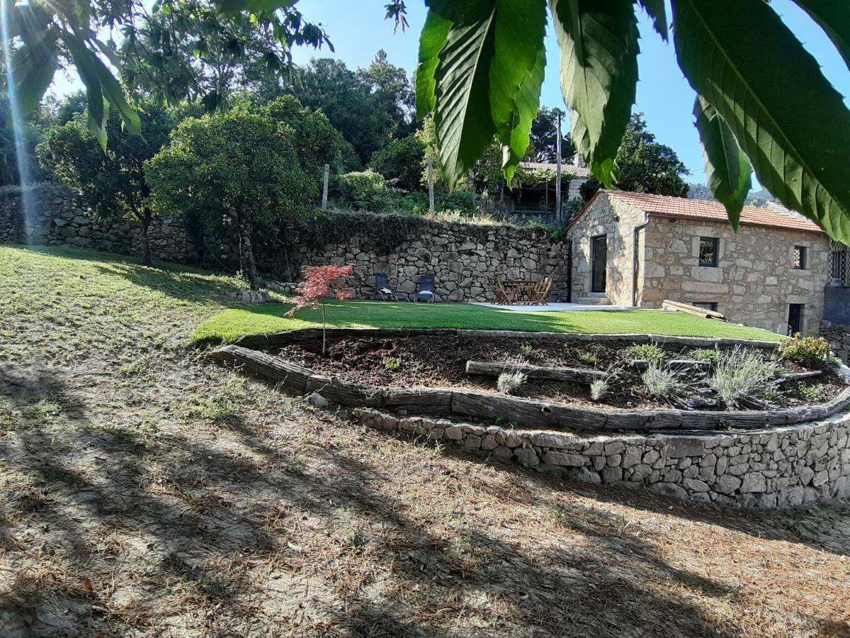 River House Sejaes Oliveira de Frades Kültér fotó
