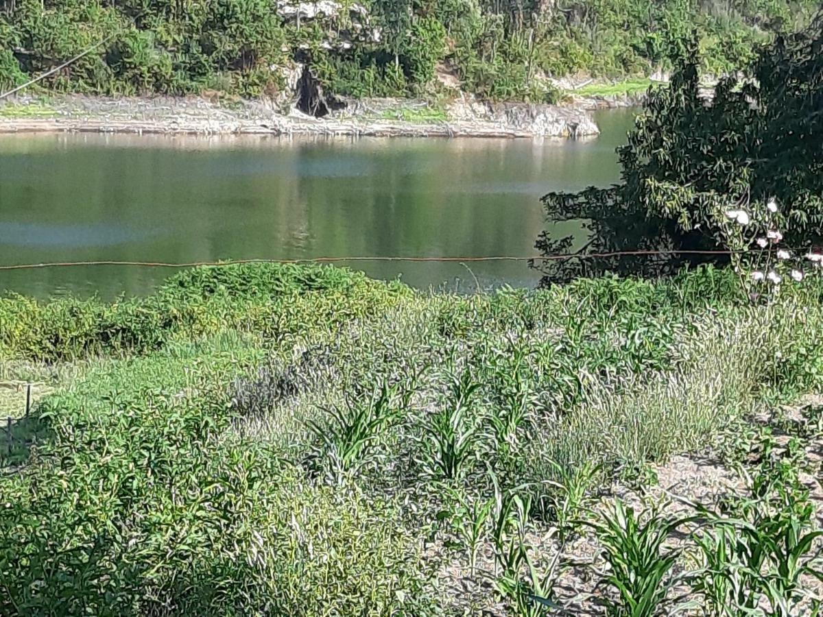 River House Sejaes Oliveira de Frades Kültér fotó