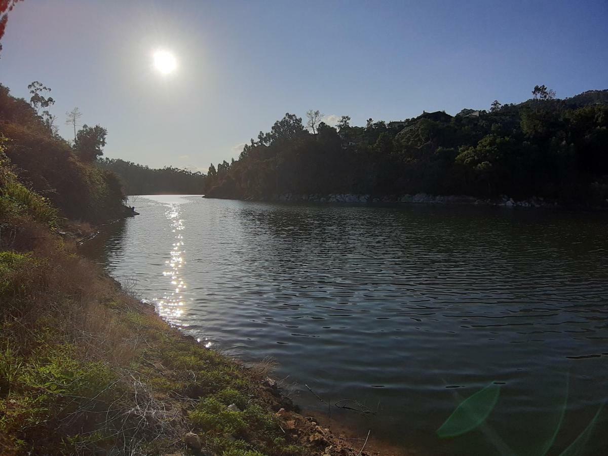 River House Sejaes Oliveira de Frades Kültér fotó