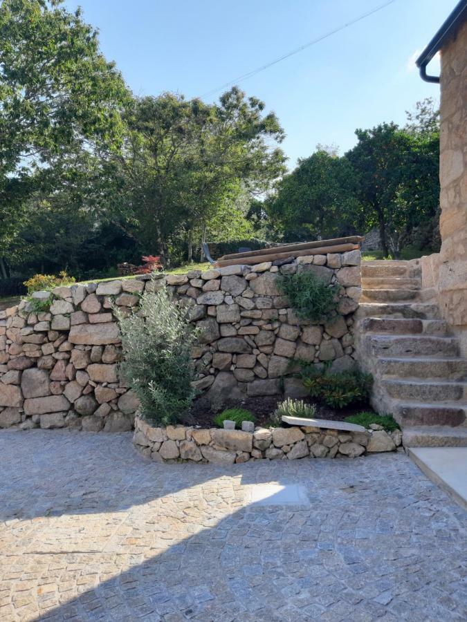 River House Sejaes Oliveira de Frades Kültér fotó