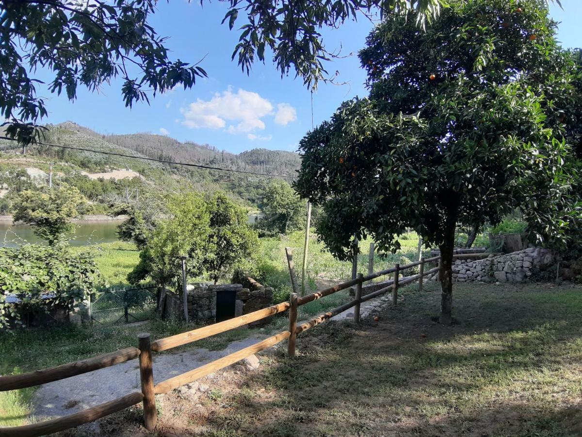 River House Sejaes Oliveira de Frades Kültér fotó