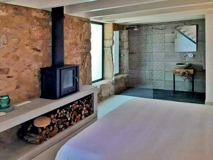 River House Sejaes Oliveira de Frades Kültér fotó